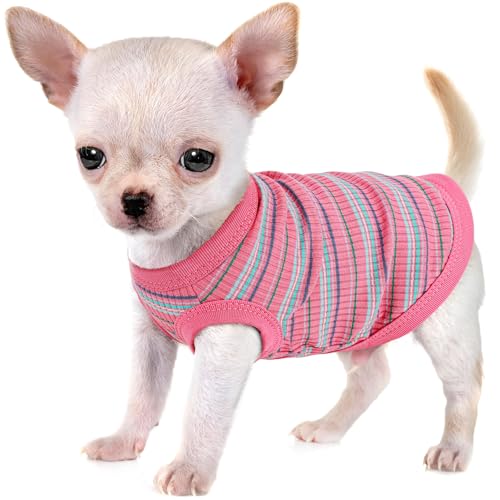 Elevate Your Pet’s Comfort and Fashion: Premium 100% Cotton Rib Dog Shirt Vest for Small Breeds Like Chihuahuas, Yorkies, and Puppies .Year-Round Style with Tank-Style Puppy Attire Pink Small