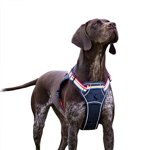 Rosewood x Joules Rainbow Harness, Small, Reflective Trim