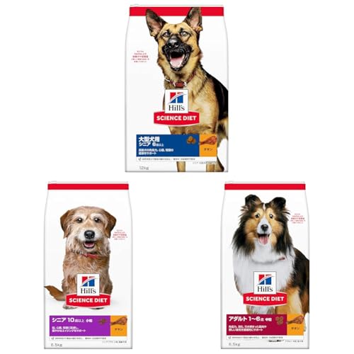 yZbgzqY TCGX_CGbg hbOt[h ^p VjA 6Έȏ `L 12s p hC e  + qY TCGXE_CGbg hbOt[h VjAvX  10Έȏ `L 6.5s p hC + 