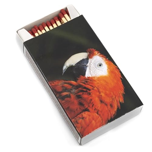 XXL 5x 55 Stk Kaminhölzer Zigarrenhölzer Extra Lang + Bildmagnet! Kaminstreichhölzer Pfeifenhölzer Kaminanzünder Zündhölzer Streichhölzer Kohleanzünder Anzünder für Kamin Anzündwolle Holzwolle Ofen