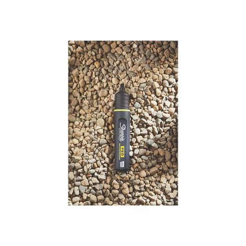Sharpie Pro Permanent Marker Medium Chisel Tip Black 12 Count (2018326)
