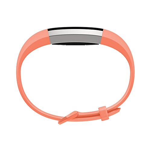Fitbit Alta Hr Activity Tracker Heart Rate Fitness Wristband Small Coral (Renewed) #TOP1
