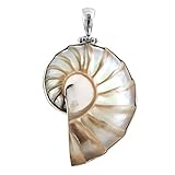 FifiRose Ridged Nautilus Shell 925 Sterling Silver Pendant, 2 3/8