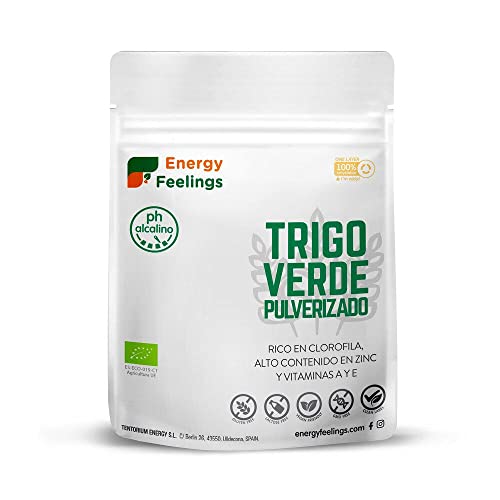 HIERBA DE TRIGO VERDE PULVERIZADO ECO TARRINA 150GR