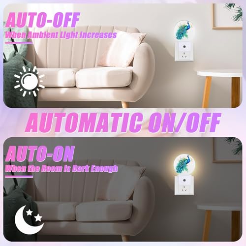 Image of Watercolor Peacock Night Light Feather Night Lights LED Lamp Round Plug into Wall Nightlight with Dusk to Dawn Sensor Home Hallway Stairway Kitchen Decor