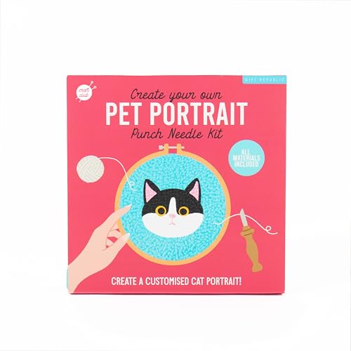 Kit aiguille à poinçonner chat pour réussir sa broderie DIY