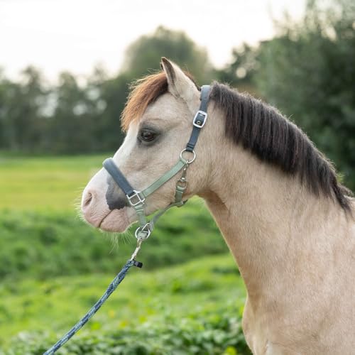 Licol poney Shetland HKM Barnie vert clair et foncé réglable