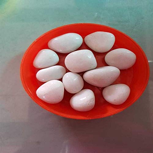 NurseryNature White Colour Polish Pebbles-image-44