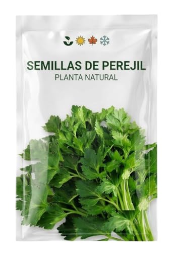 Perejil para Cultivar en Casa: Semillas