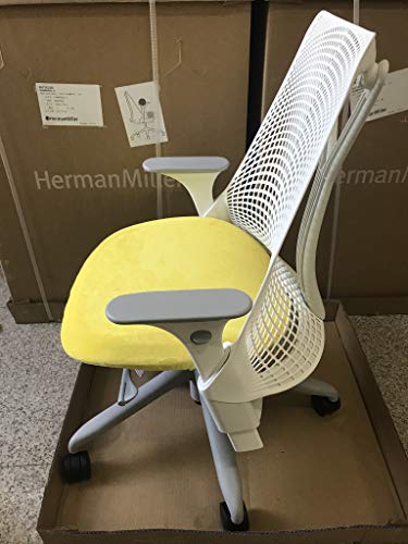 Herman Miller Sayl chair