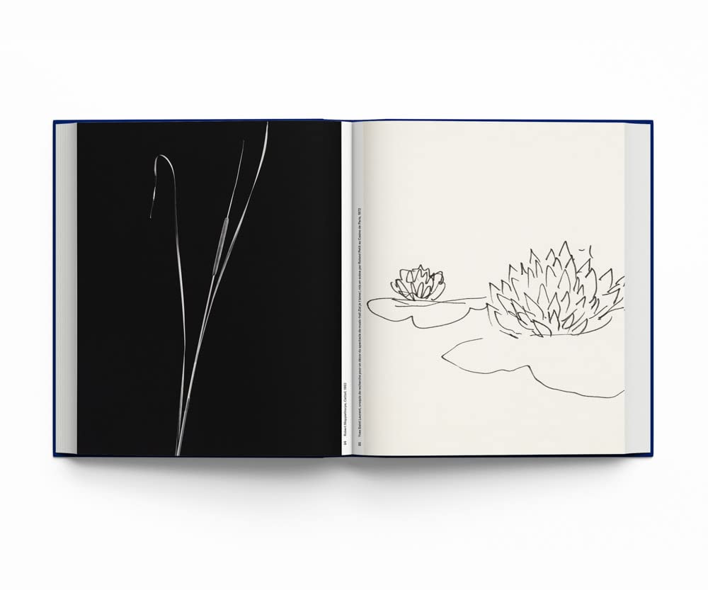 Botanical: Observing Beauty