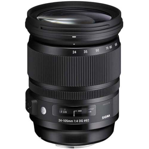 Sigma 24-105mm F/4 DG OS HSM Art（Fマウント） 41fXZgrEGsL.jpg