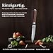 Wakoli Nussbaum Allzweckmesser 12,5 cm | aus 67 Lagen Damaststahl mit VG10-Kern | mit ergonomischem Nussbaumholzgriff | für Fleisch, Fisch & Gemüse | in Geschenkbox für Hobby- & Profiköche