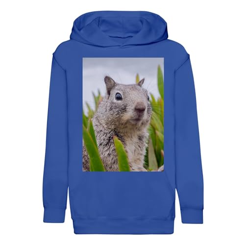 Sweat enfant marmotte mignon vêtement de randonnée pour petit