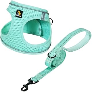 BELLA & PAL Dog Harness and Leash Set, Step-in Small Dog Harness for Extra Small Dogs, Soft Mesh Breathable Harness with Reflective Strip, Puppy Harness No Pull Harness for Small Dogs, Hot Pink, XXS