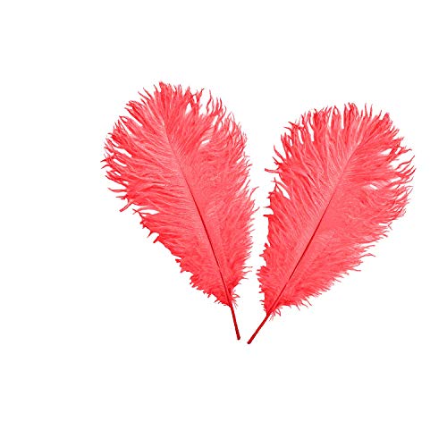 Trimming Shop Vera Piume Struzzo - Showgirl Piume