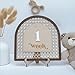Baby Monthly Milestone, Wooden Baby Milestone Signs, Monthly Milestone Wood Discs, Baby Milestone Discs (3D Rattan)