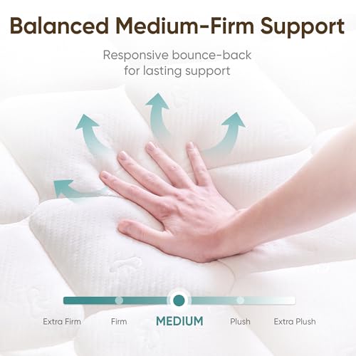 ETONEX 12 Inch Twin Mattress Cooling Gel Memory Foam and Pocket Spring Hybrid Mattress in a Box Medium Firm CertiPUR-US Certified Foam (Twin, 12in)