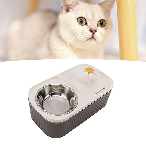 Fuente para agua y comedero para gatos y perros 2 en 1