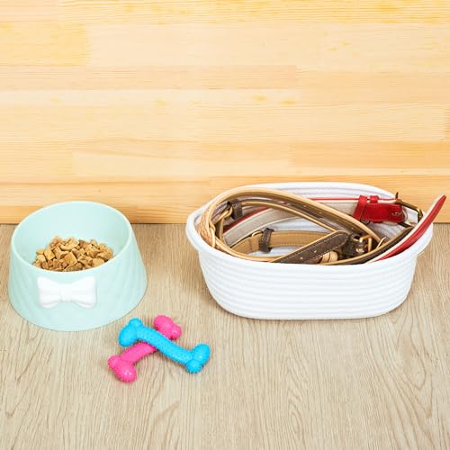 Image of MINTWOOD Design 5-Piece Small Decorative Woven Storage Baskets Set for Shelves and Catch All Tray with Handles for Organizing Gifts, Dog and Cat Toys, Bathroom Accessories, Full White