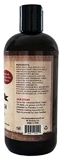 Sunny Isle Black Castor Oil Hair And Beard Wash 12Oz (Pack Of 2) #TOP2