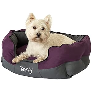 Bunty Anchor Sofa Dog Bed & Cat Bed, Medium – Plush Cushioning & High Sides – Water Resistant Anti Anxiety Dog Bed, Indoor & Outdoor – Washable Dog Bed Small to XL Sizes – Purple