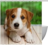 cuccioli jack russell terrier gratis roma ANTIMUFFA E IMPE RMEABILE: La tende bagno è realizzata tessuto in poliestere che permette alle gocce d'acqua di scivolare via dal tessuto della tendina per vasca da bagno. Tende da doccia impermeabile grado di resistere all'ambiente umido del bagno. È liscio lavabile, ad asciugatura rapida, anti-mildew, antipiega, ecologico e inodore