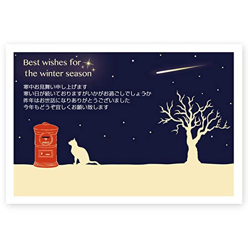 �T������ �����������͂��� KS-50 �����������n�K�L �������