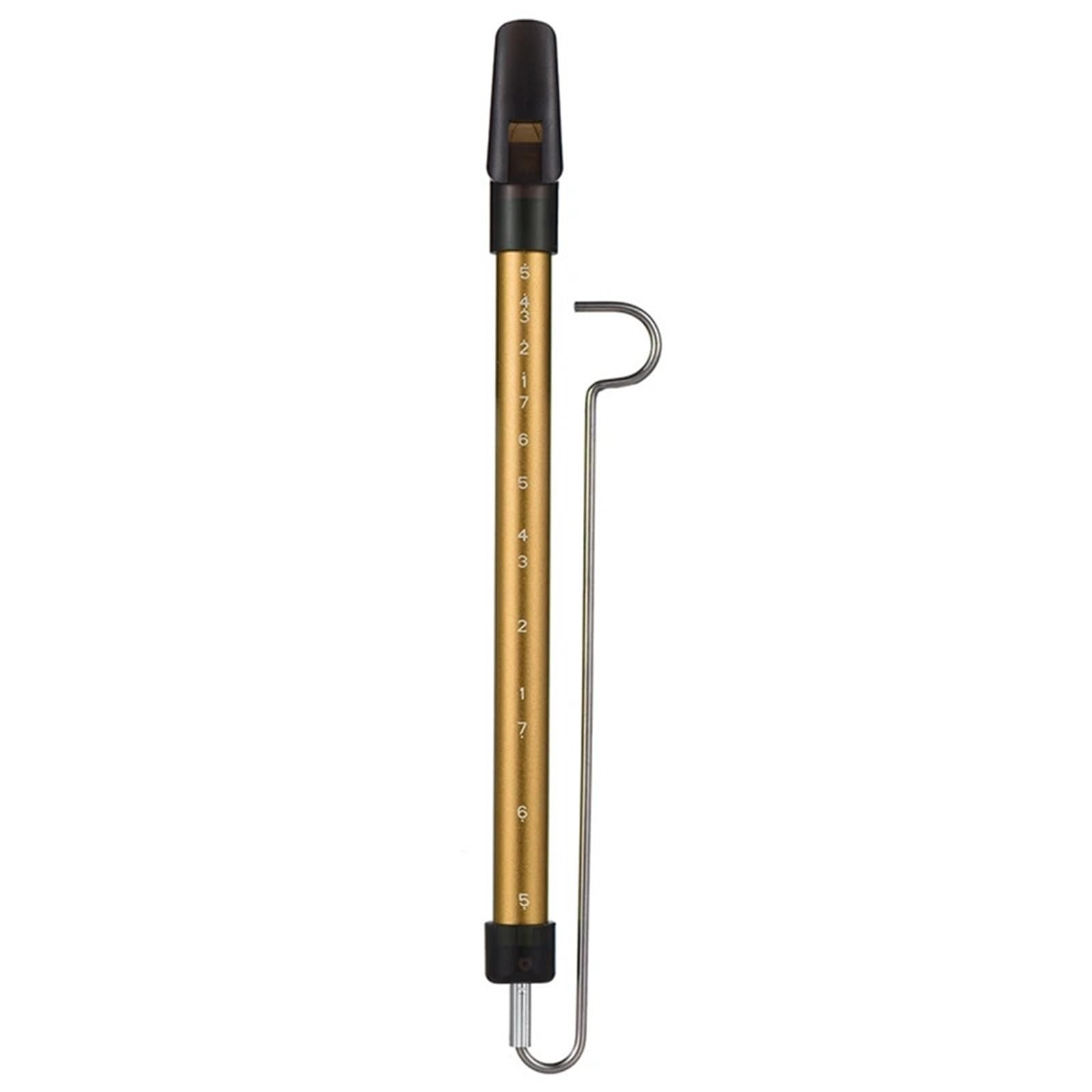 Flauto A Pistone Flauto scorrevole con scala a fischio in metallo strumento musicale asta in acciaio Strumento Educazione Musicale(Gold)