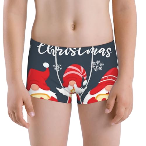 Boys' Cotton Boxer Brief Soft Underwear-Three Cute Christmas Gnomes
