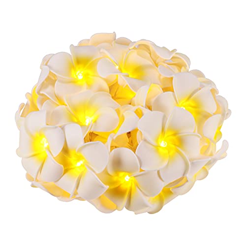 Ucisacolt Cadena de Luces LED, 6 pies 20 LED Solar Plumeria Flor Cadena de luces 3 Modos de luz Luces de Hadas para Jard�n Patio Hogar Decoraci�n de Fiesta de Boda