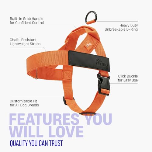 Image of Dog Friendly Co. Dog Harness for Large Dogs (Hi-Vis Orange, Large)