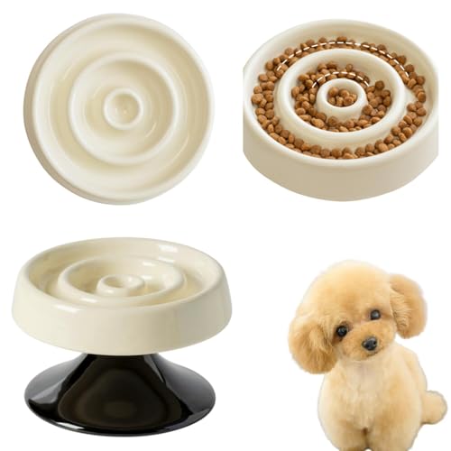 Lifetips �g�C�v�[�h���� �g�C�v�[ ���L���p ����X���[�t�[�h�{�E�� �ؐ���� ���H���h�~ ����~�� �H��Z�b�g ���^�� �L ������� �􂢂₷�� �i����-�̌^�^�C�v�A�C�{���[�j