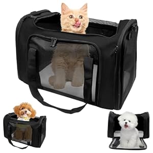 Transporttasche für Katze Hund 51x33x33cm Hundetransportbox, Faltbare Katzentransportbox Tragbar Bis 7, 5kg Katzen Hunde Autoreise Tragebox für Katze Welpen Kleine Mittelgroße Hund