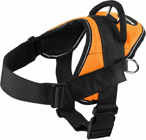 Dean & Tyler DT Harness, Orange Neoprene Dog Harness with Handle and Reflective Trim (Black, 22" - 27" Girth (S))