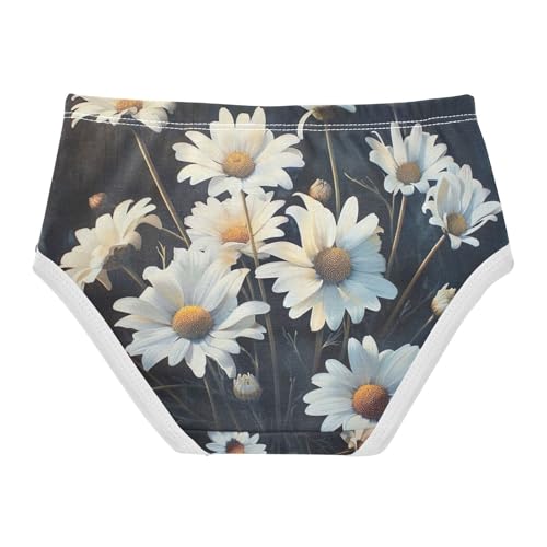 Toddler Girl Briefs, Vintage White Daisy Flower Girls Underwear Cotton, 2T–8 Years2