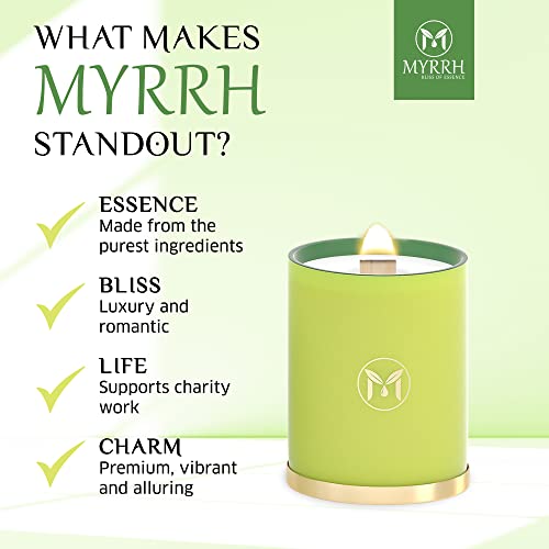 Lemongrass Ginger Scented Candle, All Natural Pure Soy Candle, Elegant And Relaxing Aromatherapy Candle, Candle Gift For Home Decor, Lasts Up To 75-80 Hours, 15 Oz - Myrrhusa #TOP5