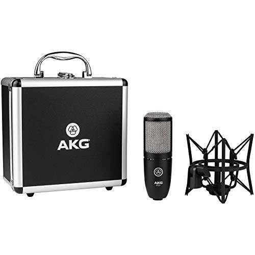 Akg AKG3101H00420K4 Project Studio P220 Large-Diaphragm Cardioid Condenser High-Performance Microphone Bundle thumb #1