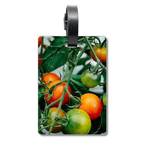 Étiquette valise arbre fruitier pour ne plus perdre votre sac