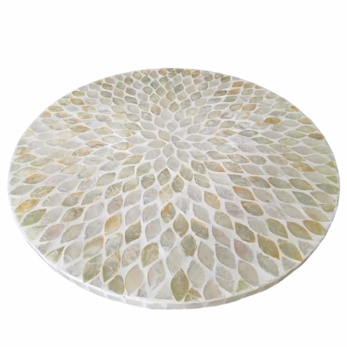i-lan 16 Inch Mother of Pearl Lazy Susan Turnable Organizer for Table,Large Decorative Round Rotating Tray for Dining Table,Cabinet,Countertop,Kitchen and Tabletop. by i-lan - Used condition - US$62.91
