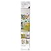Wallies U.S. State Map Vinyl Decals, Assorted