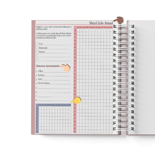 Planner Premium 2025 - Planejamento Anual com Roda da Vida A5, Gestão Financeira, Organização Pessoa