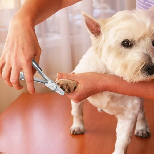Tijeras de acero inoxidable resistentes para garras de perros 3