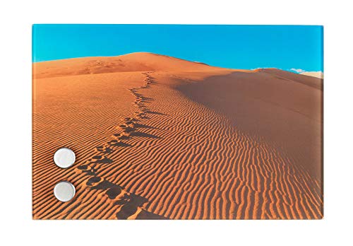 Wenko Sanddüne Schlüsselkasten Magnetisch 17 Haken