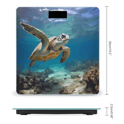 Báscula Digital de Baño con Capacidad 400 lb y Pantalla LCD miniatura 2