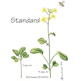 Brassica rapa Wisconsin Fast Plants, Standard Seed, Pack of 200