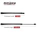 Maxpow 2pcs Rear Trunk Gas Charged Lift Support Compatible with Ford Mustang 1994 1995 1996 1997 1998 1999 2000 2001 2002 2003 2004 PM2014 Trunk Lift Trunk Struts Shock Trunk Gas Struts