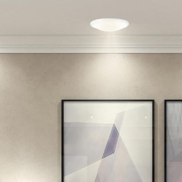 Mipcase 2pcs Plastic Ceiling Light Shade Replacement Flush Mount Dome Cover for Versatile Use Bedrooms Kitchens Bathrooms and Offices Easy Screw Installation Durable Design by Mipcase - Used condition - Image 3