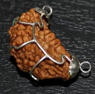 Dine Gems AkaMukhi Rudraksha Certified Original Ek Mukhi Rudraksh Big Size Kaju Dana 1 Mukhi Kaju Dana Half Moon Nepali Ru... Price In India