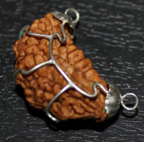 Dine Gems AkaMukhi Rudraksha Certified Original Ek Mukhi Rudraksh Big Size Kaju Dana 1 Mukhi Kaju Dana Half Moon Nepali Ru... - Review, Price and Buying Guide